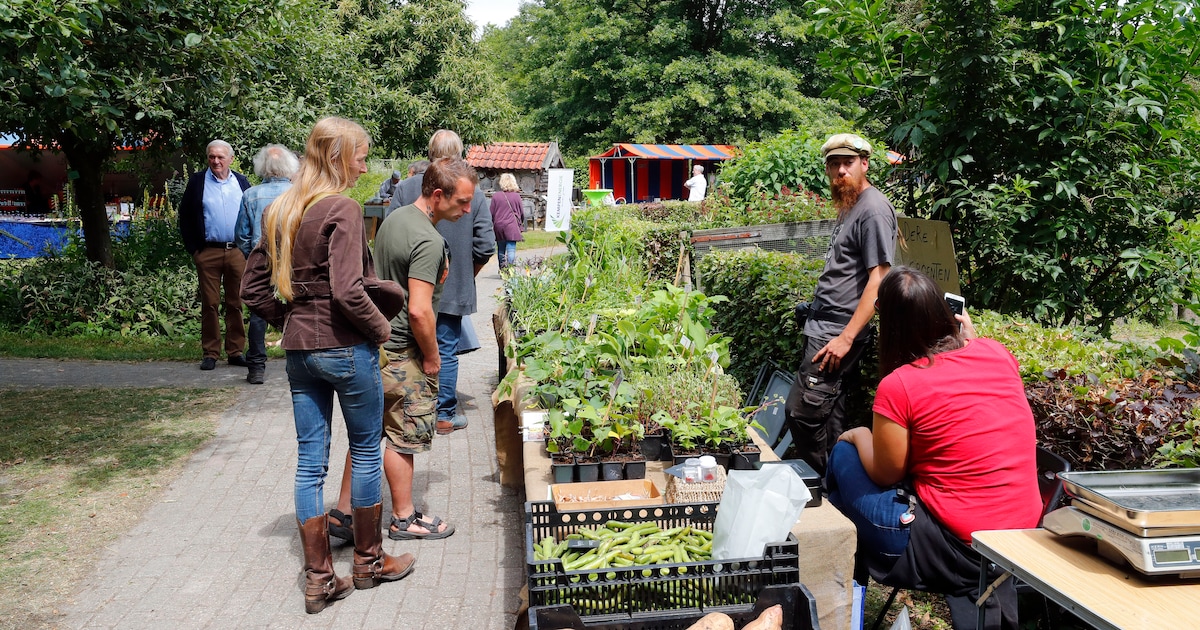 Natuurmarkt in De Groene Long in Bladel met kraampjes en activiteiten