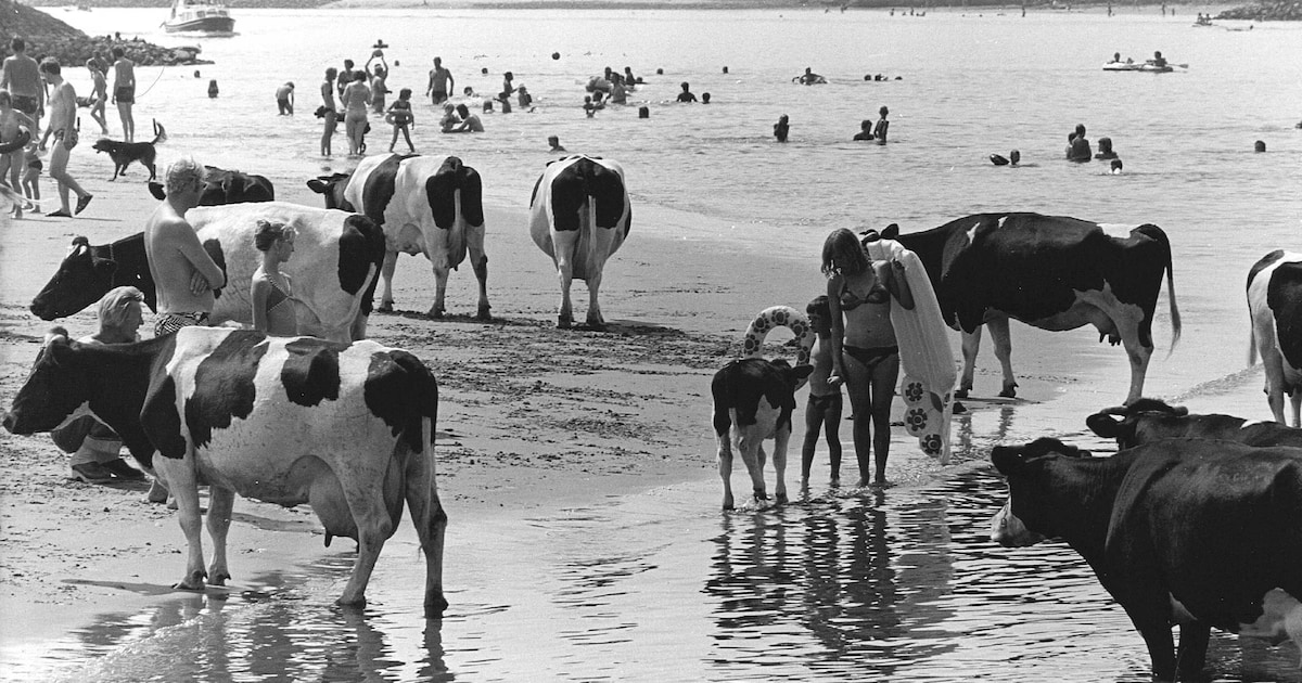 De zomer van 1976, die was pas écht warm in Zeeland