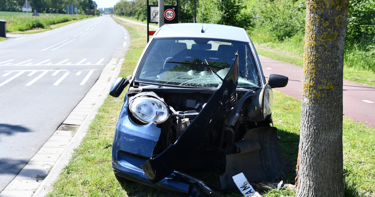 Brommobiel botst frontaal tegen boom langs de Rapenburg in Vogelwaarde