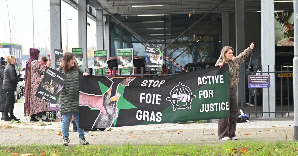 Protest tegen foie gras bij groothandel HANOS-ISPC in Breda