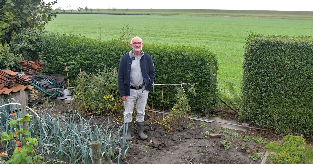 Walsoorden kijkt tegen een vervuilde zeedijk aan: ‘Gras wil er nauwelijks op groeien’
