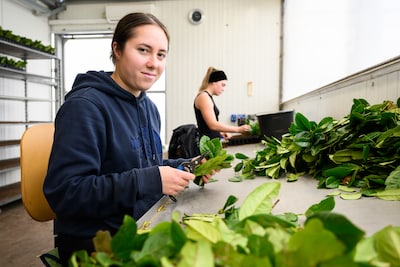 West-Brabant draait op arbeidsmigranten, maar Nederlanders w