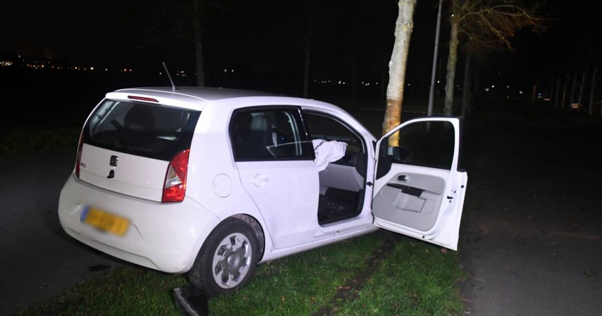Auto tegen boom op Doeleweg in Arnemuiden, bestuurder had flink gedronken