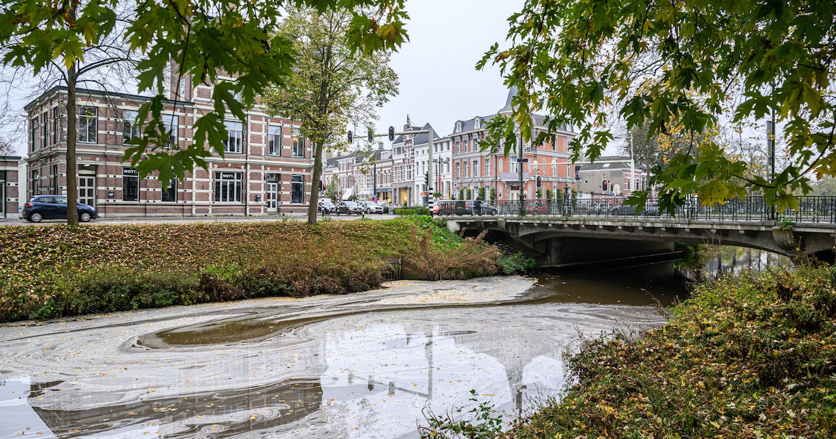 Onderhoud aan bruggen in Bredase binnenstad