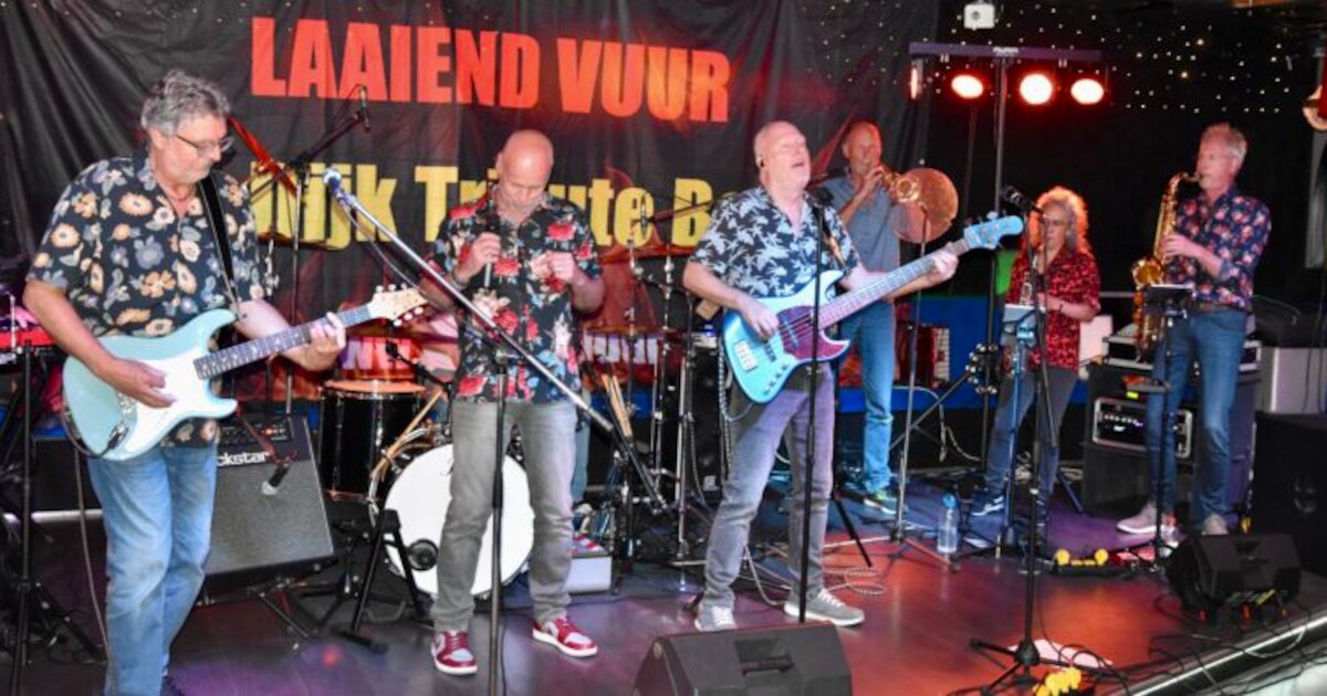 Achtkoppige De Dijk-tributeband treedt op in Nieuwendijk | Altena