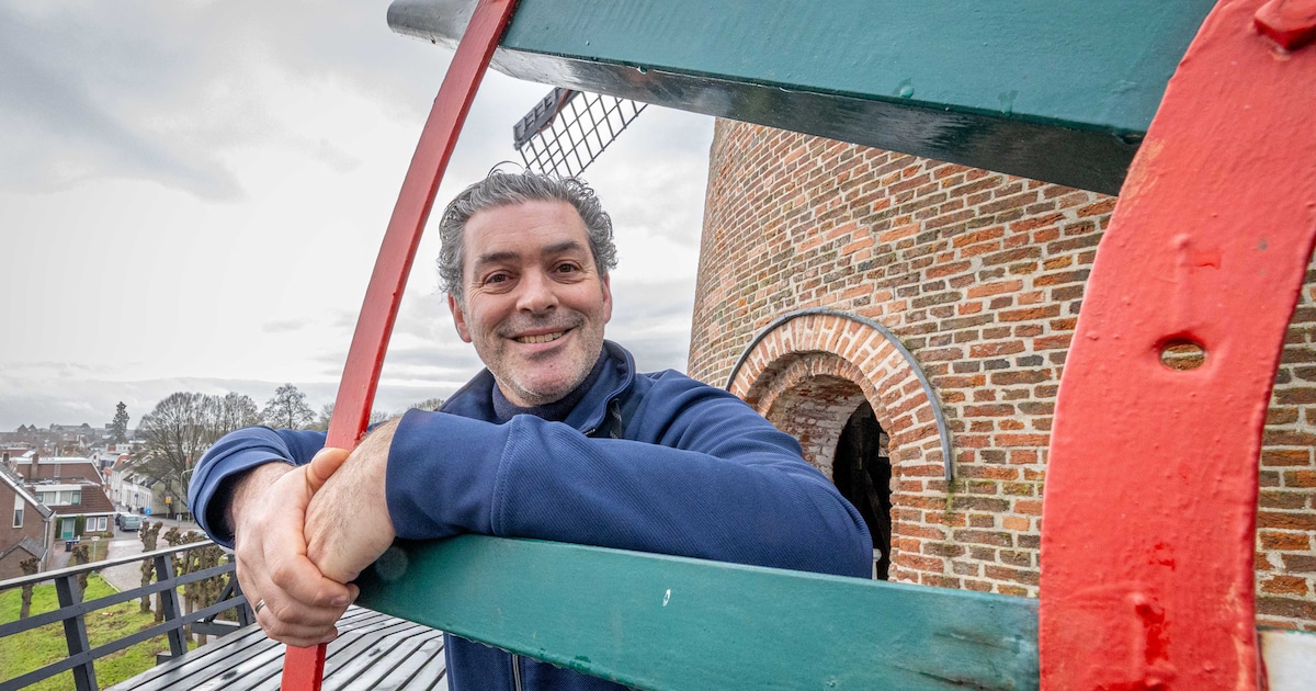 Goese molenfanaat heeft er een belangrijke taak bij: ‘Dat gaat goed samen met De Koornbloem’