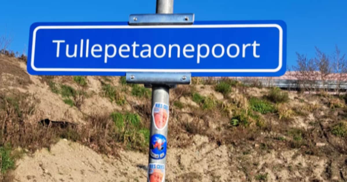 Ludiek idee rond Tullepetaonepoort groeit uit tot serieuze petitie in Roosendaal