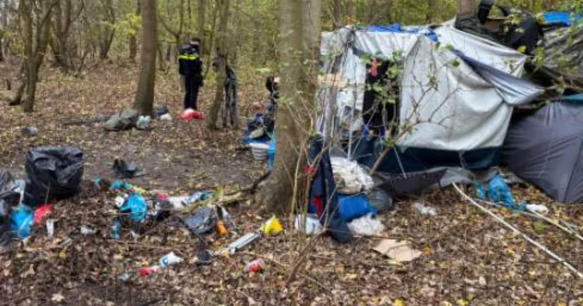 Bewoners illegaal tentenkamp in bos bij Achterzeedijk moeten vertrekken