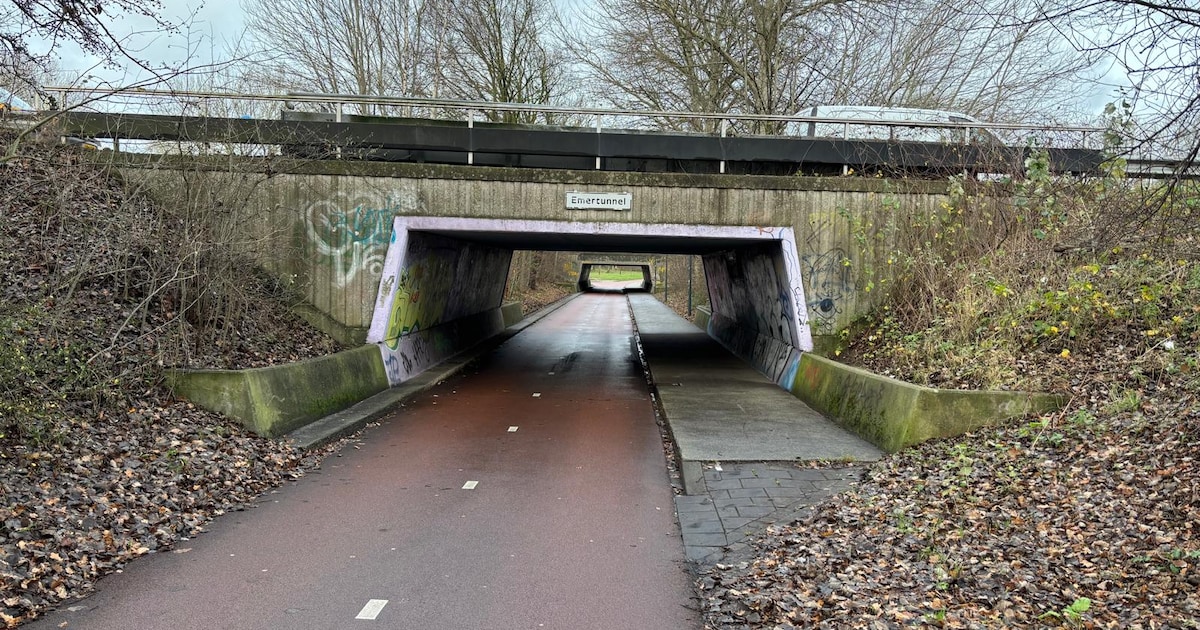 Deze tunnel in Breda verandert even in een huiskamer: dit is waarom