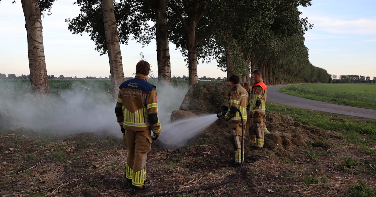 Berg met vers gemaaid gras vat vlam in buitengebied Sprang-Capelle