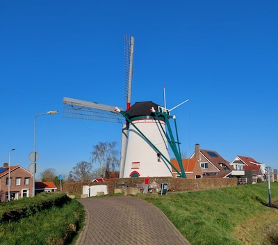 Officiële onthulling en heropening Travalje en molen tijdens Open Monumentendag in Stavenissen