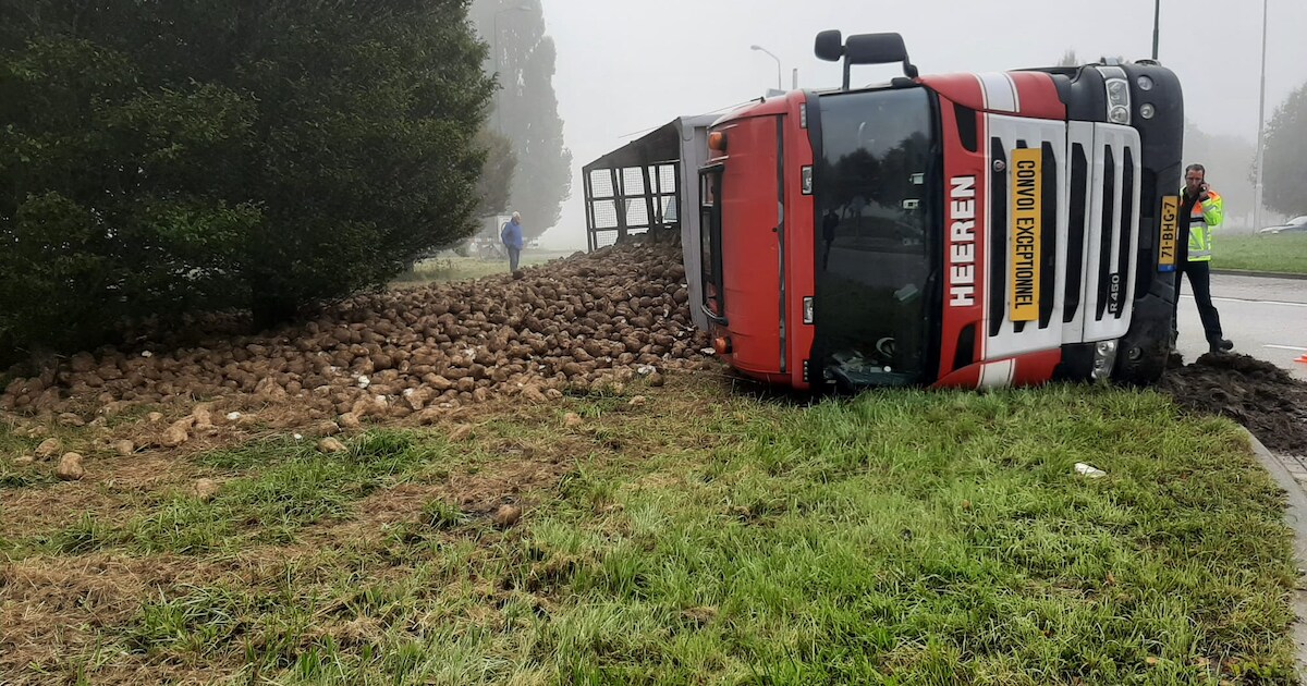 Vrachtwagen met suikerbieten gekanteld op rotonde bij Stampersgat
