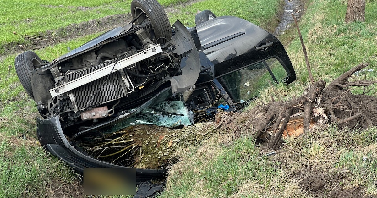 Auto belandt in de sloot in Sprundel, boom gaat dwars door voorruit heen