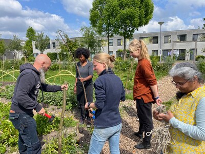 Buurtmoestuin inspireert Rotterdam-Zuid: ‘Kinderen worden er vrijer van’